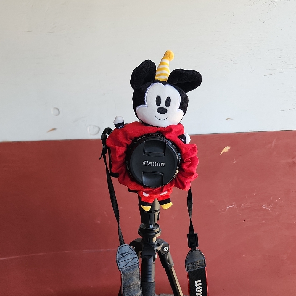 Mickey Mouse Shutter Hugger